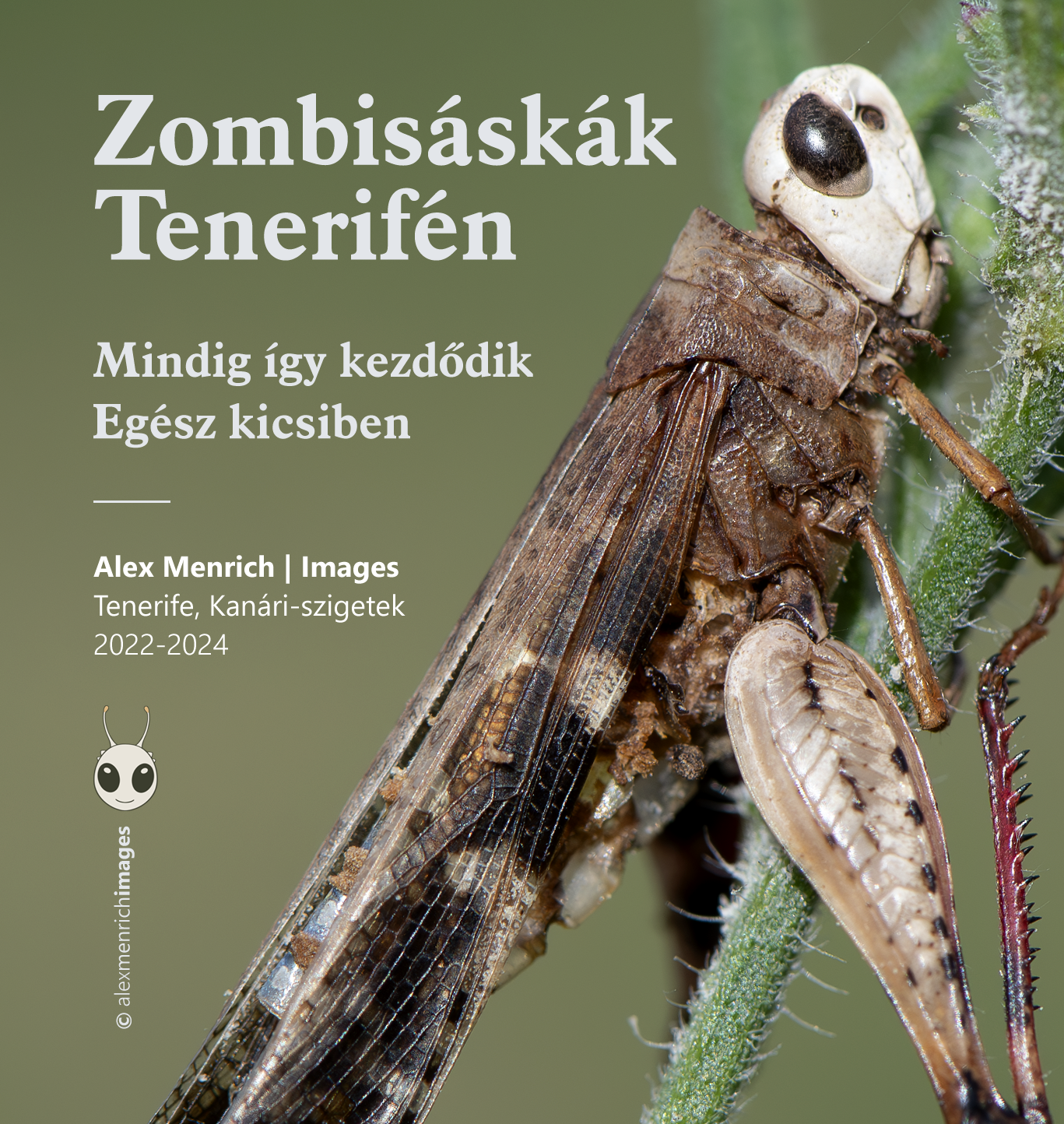 Zombisáskák Tenerifén